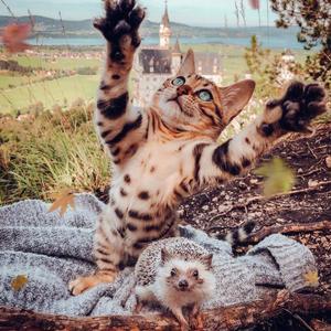 我一点都不想你