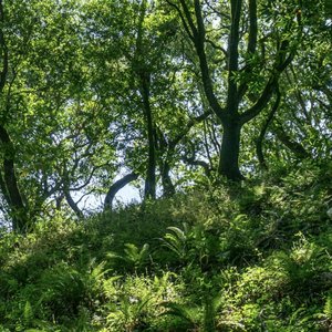 拥有即失去倒计时