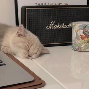 这个世界不会好