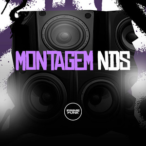 Montagem NDS