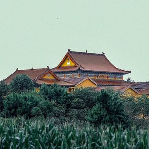 膝下少年