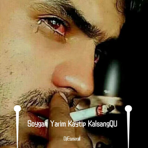 kaysar mahmut-Soygan Yarim Kaytip KalsangQu（Tvxohratwaz remix）