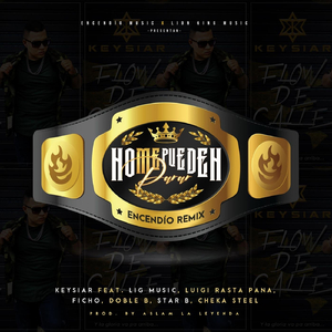 No Me Pueden Parar (Encendío Remix) [feat. Lig Music, Luigi Rasta Pana, Ficho, Doble B, Star B & Cheka Steel]