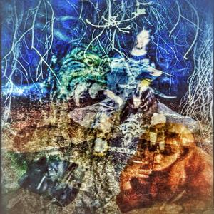 FISHNET CASKET SODOMY 2