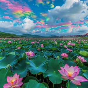 我的世界 都是你