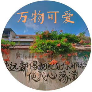 远去的小双肩包