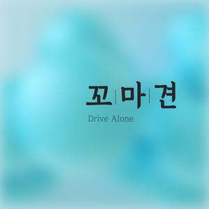 나홀로 드라이브