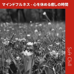 Quietude's Gentle Ripple