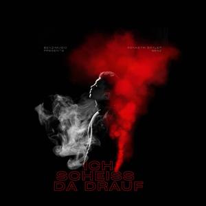 ich scheiß da drauf