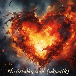 Ne özledim seni (Acoustic)