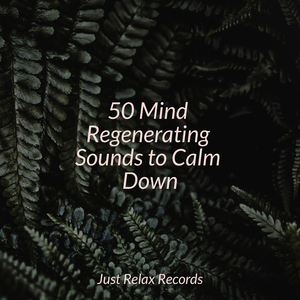 Echoes of Broken Glass