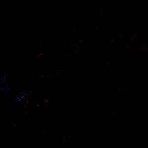 Not In Time (Lake Of Lovers)