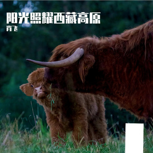 阳光照耀西藏高原