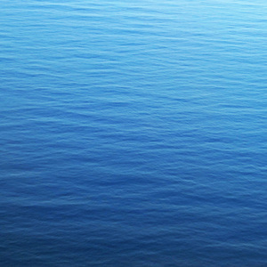 Canto de Renovación