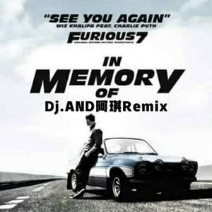 Wiz Khalifa-See You Again（AND阿琪 Remix）