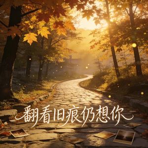 翻看旧痕仍想你