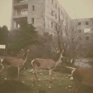 Пламя