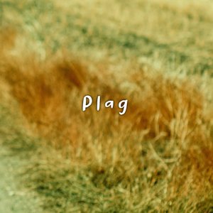Plag