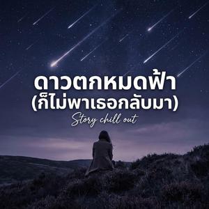 ดาวตกหมดฟ้า(ก็ไม่พาเธอกลับมา)