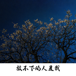放不下的人是我