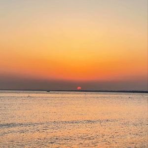 颠奶（越南鼓0.8X）