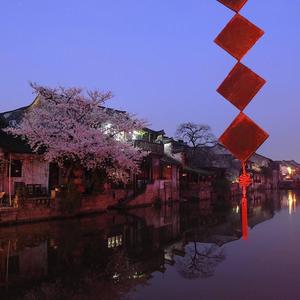 五月落樱（Prod by. T.Ree）