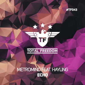 Echo (feat. Hayling) (Extended Mix)