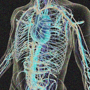 veins[prod. mxrder+graveboy]