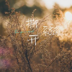 撕开裂缝