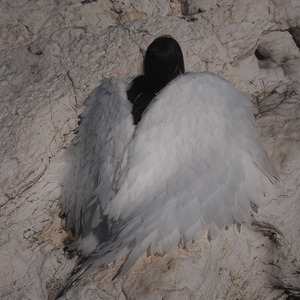 С Амазонки до Марса