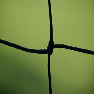 Izlel E Delyo Haydutin