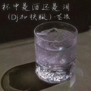 杯中是酒还是泪 (DJ加快版)