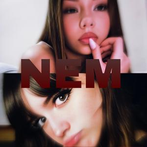 NEM