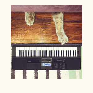 Сумрачный принц