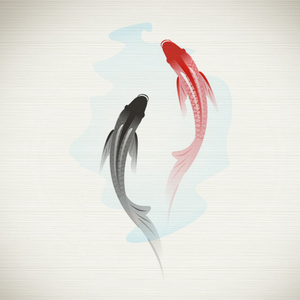 【葫芦丝】锦鲤抄（原唱：银临、云の泣）