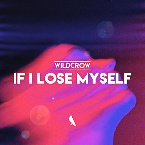 If I Lose Myself