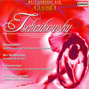 Violin Concerto in D Major, Op. 35: Violin Concerto in D Major, Op. 35: II. Canzonetta: Andante