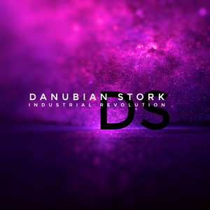 Industrial Revolution