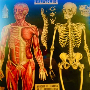 Say Hello World Project (Task 3 - We're All the Same!)