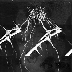 荆棘 freestyle（prod by TRUE）