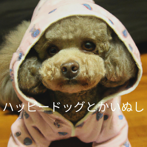 Incredible Coffee Rewind