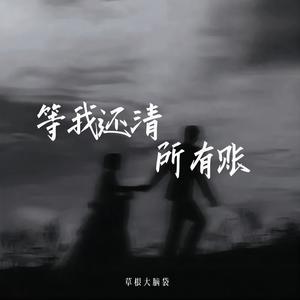 等我还清所有账 (草根大脑袋版)