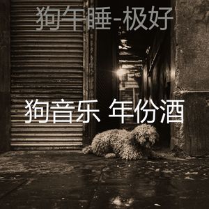 睡觉的小狗(关怀)