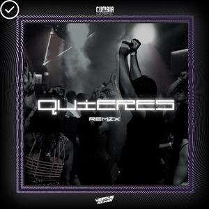 Quieres (Remix)