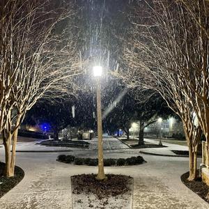 The First Noel (feat. Kaylan Walker & Ben Gregory)