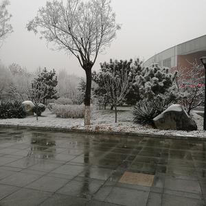 吸引力组合-白龙马（宋彦磊 Remix）