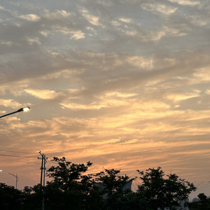 浪漫主义小红歌