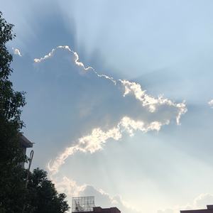 接受