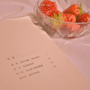 小公主（翻自 蒋蒋）