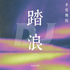 踏浪 (手势舞版)